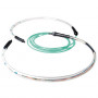 Cable de Fibra Óptica de 8 fibras Multimodo 50/125 OM3 interior/exterior con conectores LC 150 m