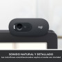Webcam Logitech C505 HD cámara web 1280 x 720 Pixeles USB Negro 66,16 €