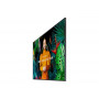 Monitor Profesional Samsung QM75 Pantalla plana para señalización digital 190,5 cm (75") LCD Wifi 500 cd / m² 4K Ultra HD Neg...